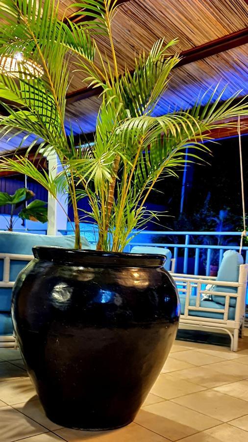 Villa Des Iles 3 Mont-Choisy Exterior foto